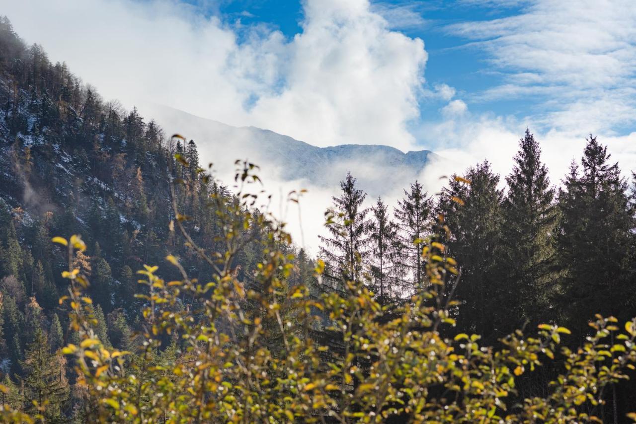 Chalet & Beim Waicher