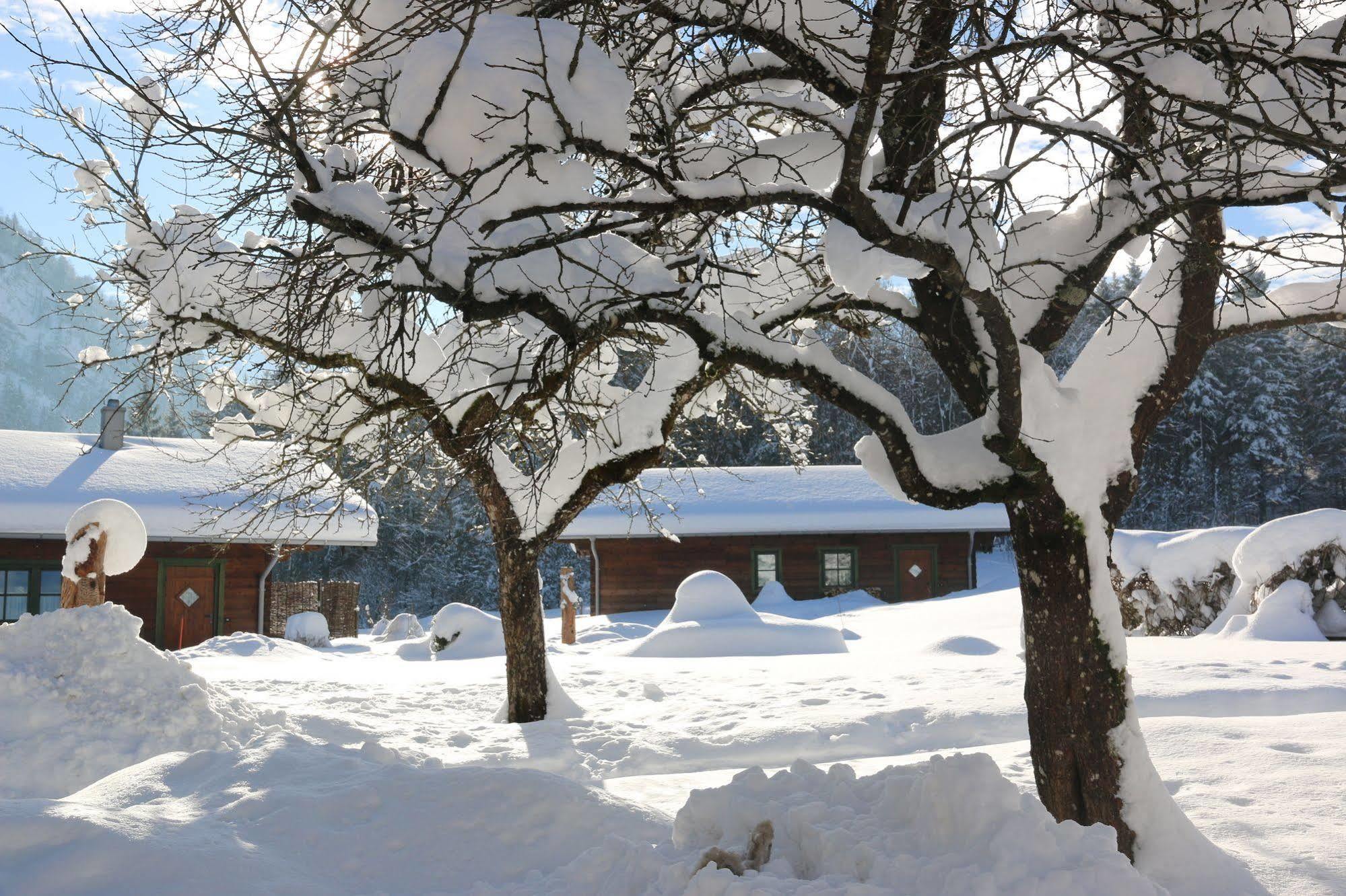 & Beim Waicher Chalet Ruhpolding